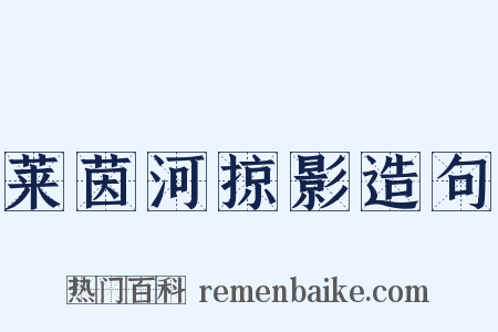 莱茵河掠影造句是什么意思的图片